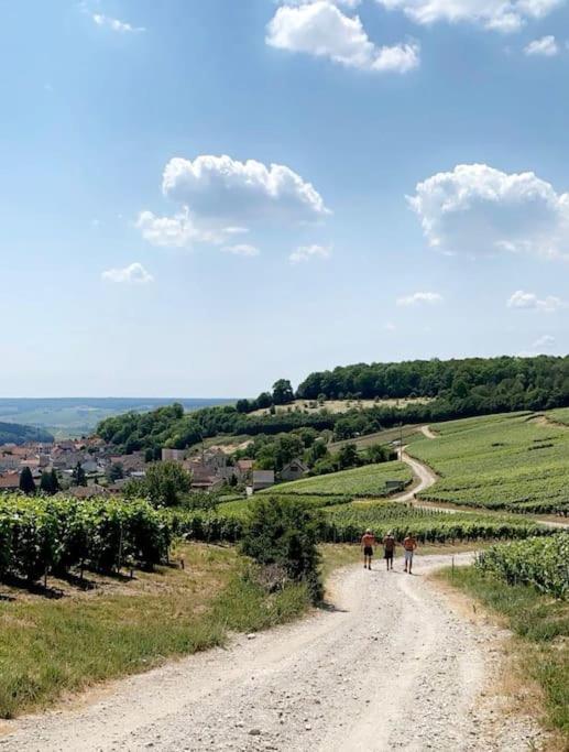 Le 29 - Au Coeur Du Vignoble Champenois *