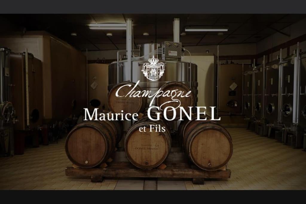 Le 29 - Au Coeur Du Vignoble Champenois Apartment *
