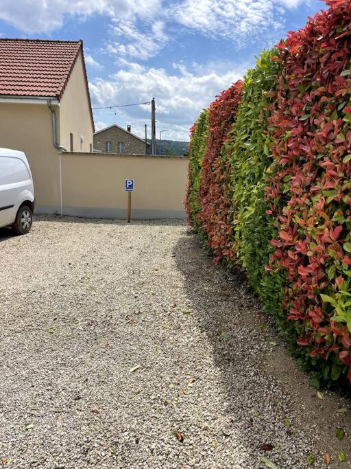 Le 29 - Au Coeur Du Vignoble Champenois Apartment Damery (Marne)